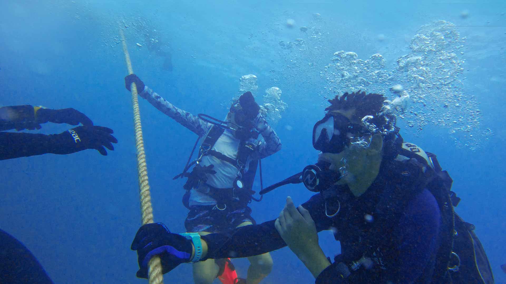 Diver's Paradise Dive Center — Miami — Key Biscayne, Florida