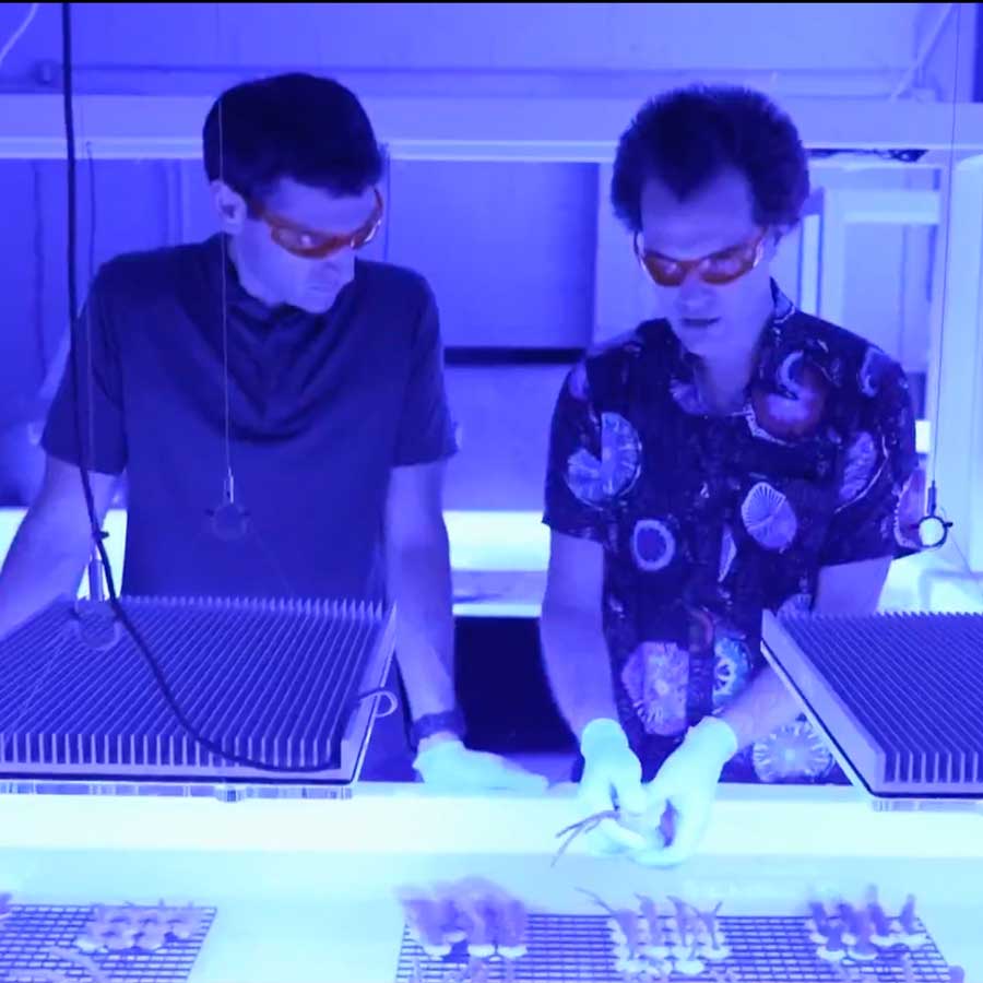 Diver's Paradise Dive Center — Miami — Key Biscayne, Florida—PADI 5 Star Scuba Development Center