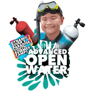 Diver's Paradise Dive Center — Miami — Key Biscayne, Florida