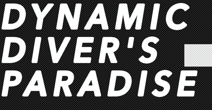 Diver's Paradise Dive Center — Miami — Key Biscayne, Florida
