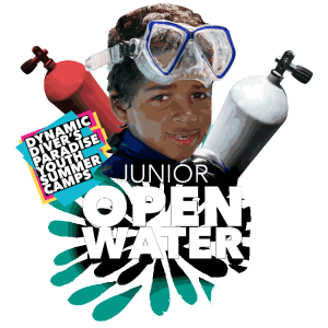 Diver's Paradise Dive Center — Miami — Key Biscayne, Florida