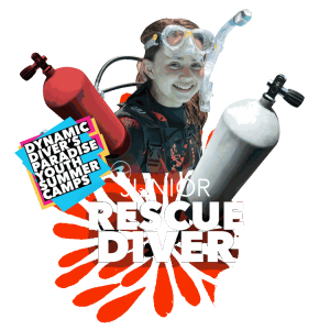 Diver's Paradise Dive Center — Miami — Key Biscayne, Florida