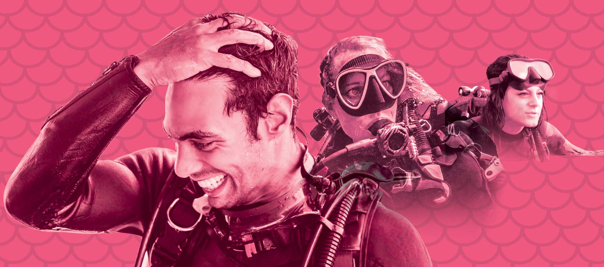 Diver's Paradise Dive Center — Miami — Key Biscayne, Florida