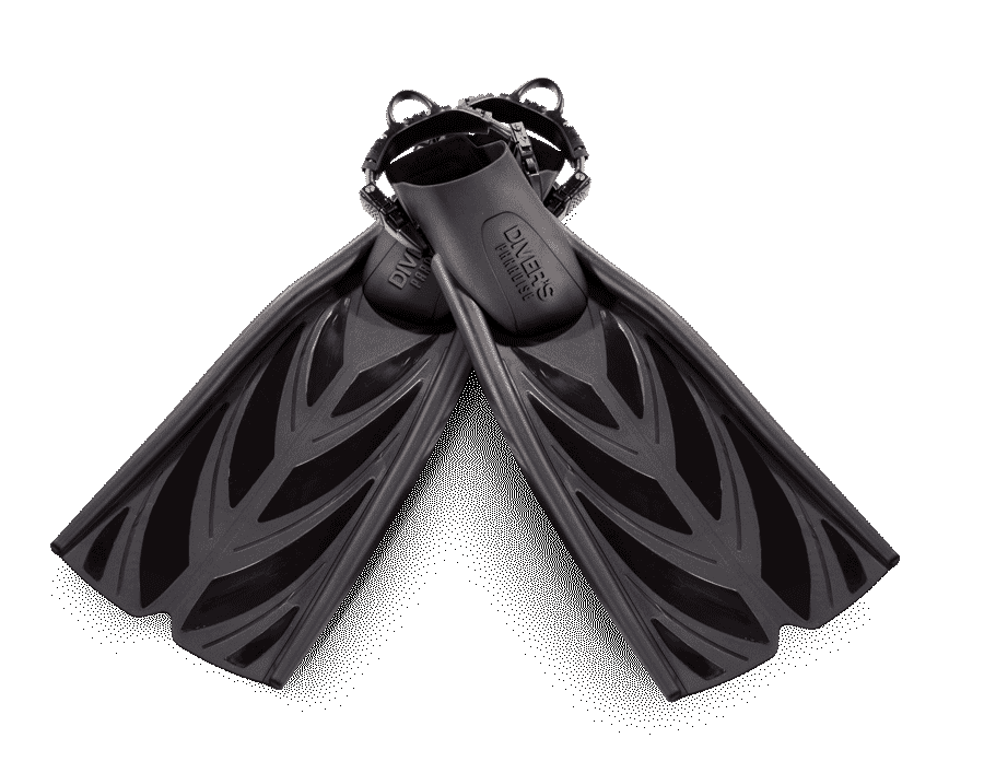 Diver's Paradise Dive Center — Miami — Key Biscayne, Florida