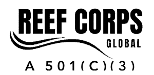 Diver's Paradise Dive Center — Miami — Key Biscayne, Florida