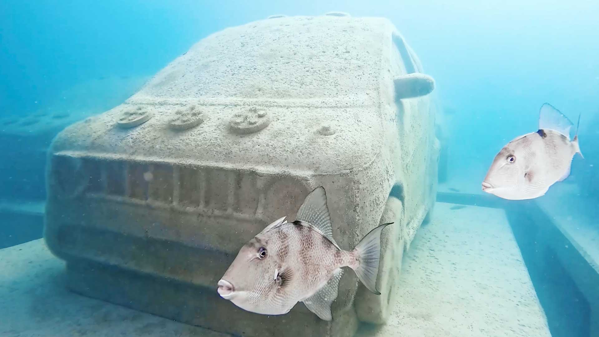 Diver's Paradise Dive Center — Miami — Key Biscayne, Florida