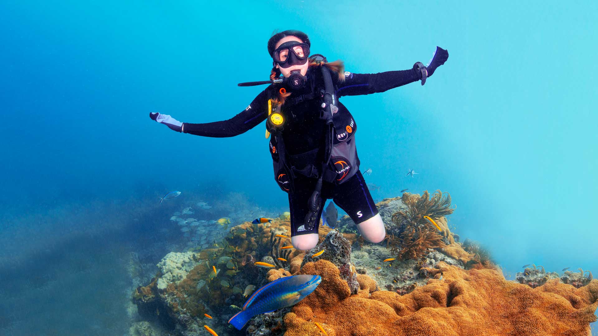 Diver's Paradise Dive Center — Miami — Key Biscayne, Florida