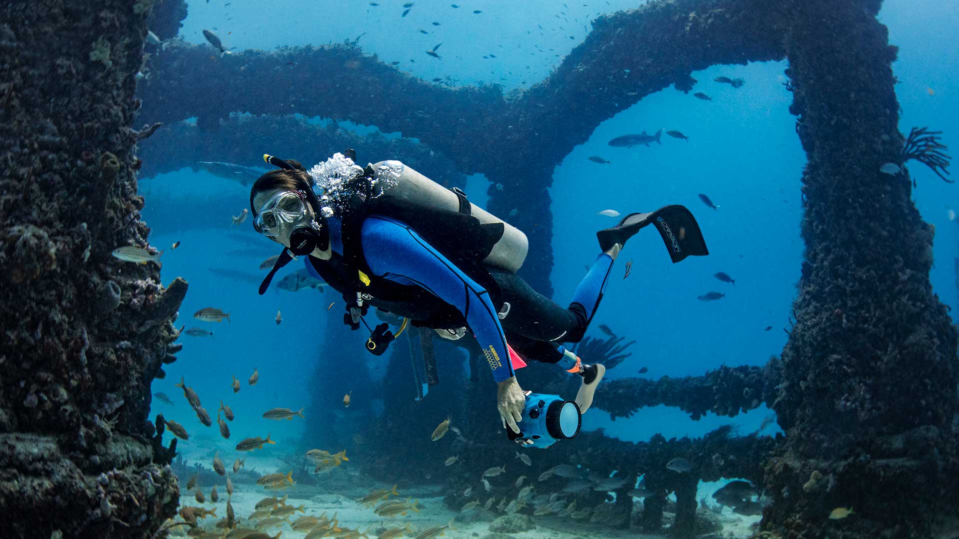 Diver's Paradise Dive Center — Miami — Key Biscayne, Florida