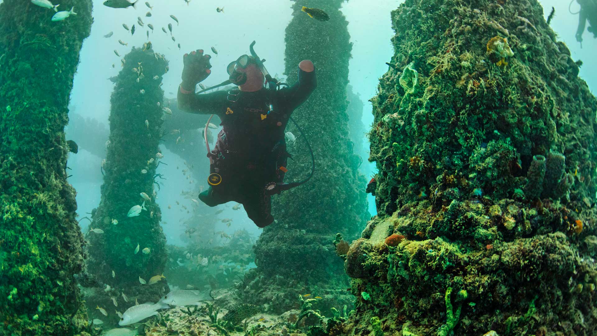 Diver's Paradise Dive Center — Miami — Key Biscayne, Florida