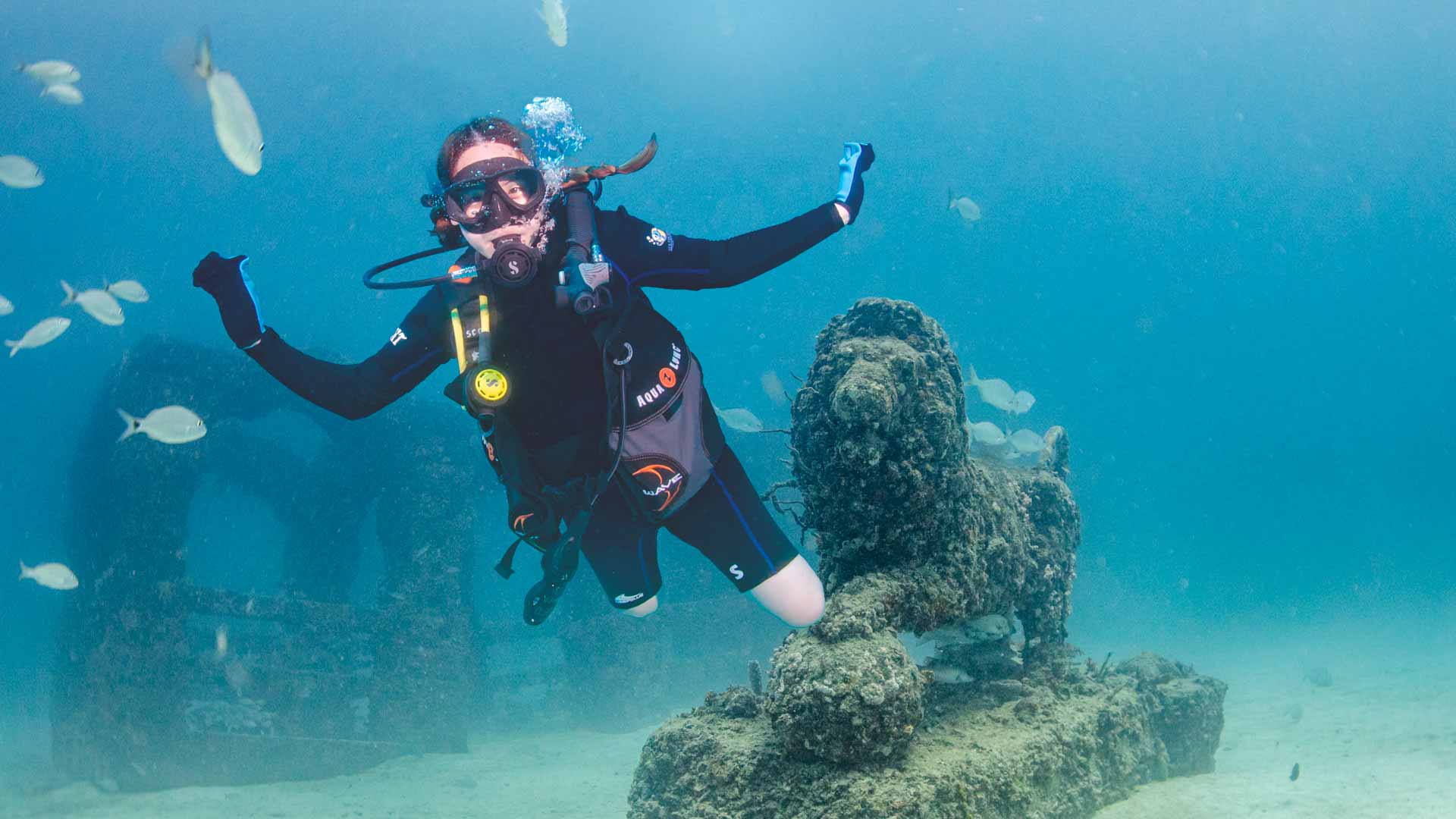Diver's Paradise Dive Center — Miami — Key Biscayne, Florida
