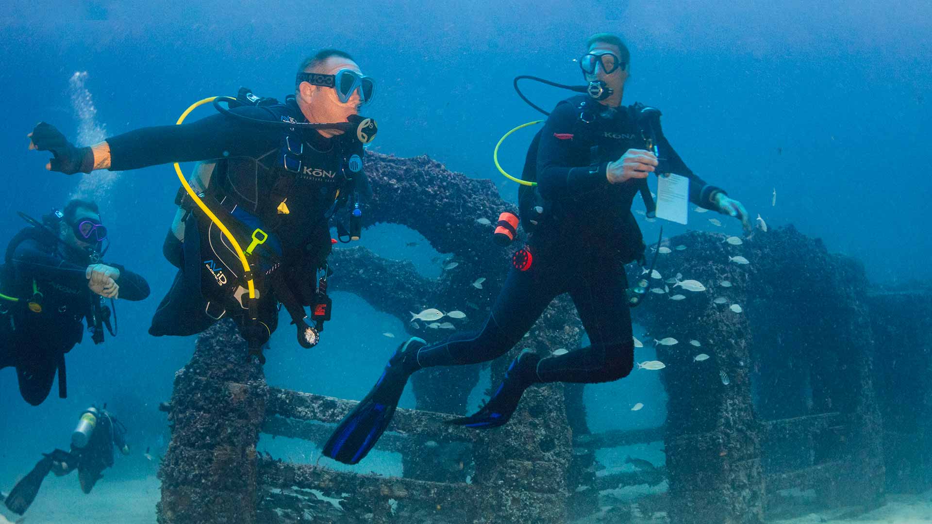 Diver's Paradise Dive Center — Miami — Key Biscayne, Florida