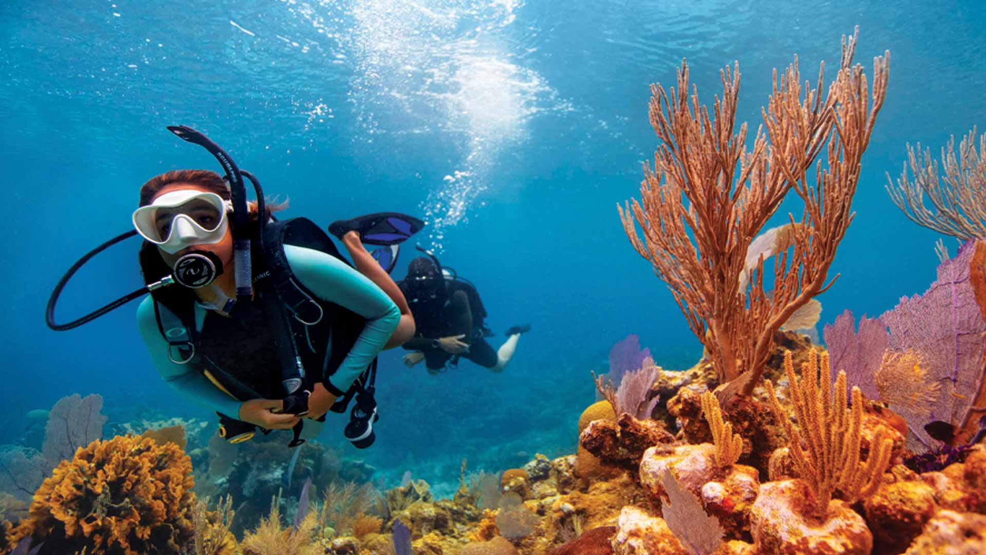 Diver's Paradise Dive Center — Miami — Key Biscayne, Florida — Coral Safari