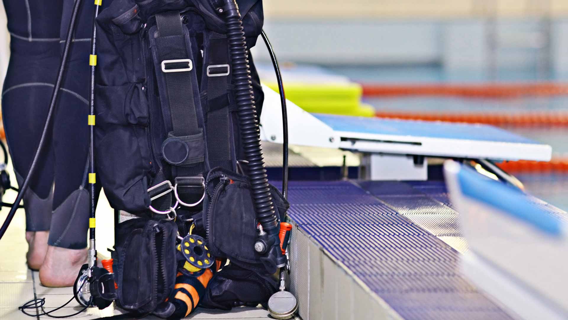 Diver's Paradise Dive Center — Miami — Key Biscayne, Florida — Coral Safari