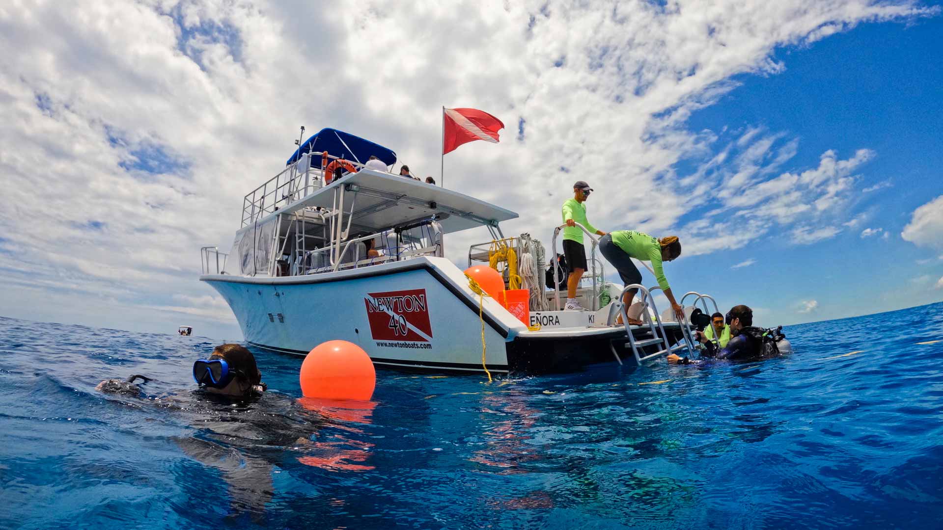 Diver's Paradise Dive Center — Miami — Key Biscayne, Florida — Coral Safari