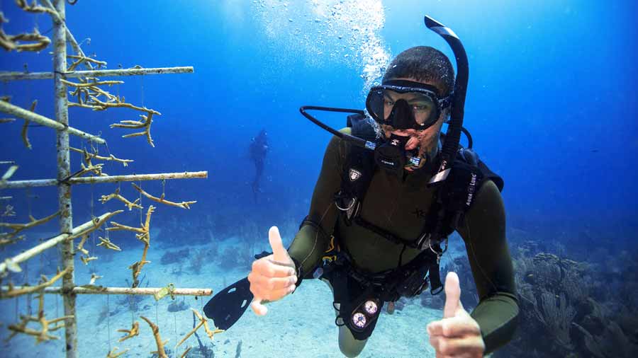 Diver's Paradise Dive Center — Miami — Key Biscayne, Florida — Coral Safari