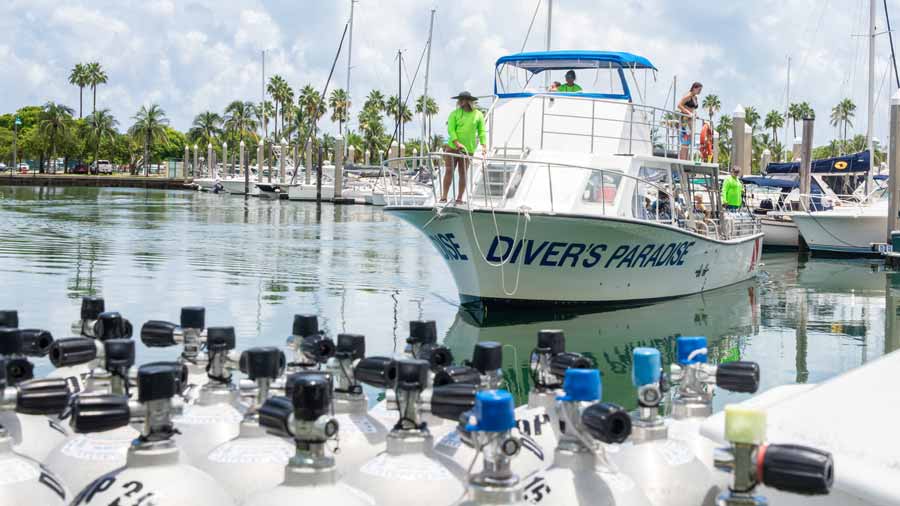 Diver's Paradise Dive Center — Miami — Key Biscayne, Florida — Coral Safari