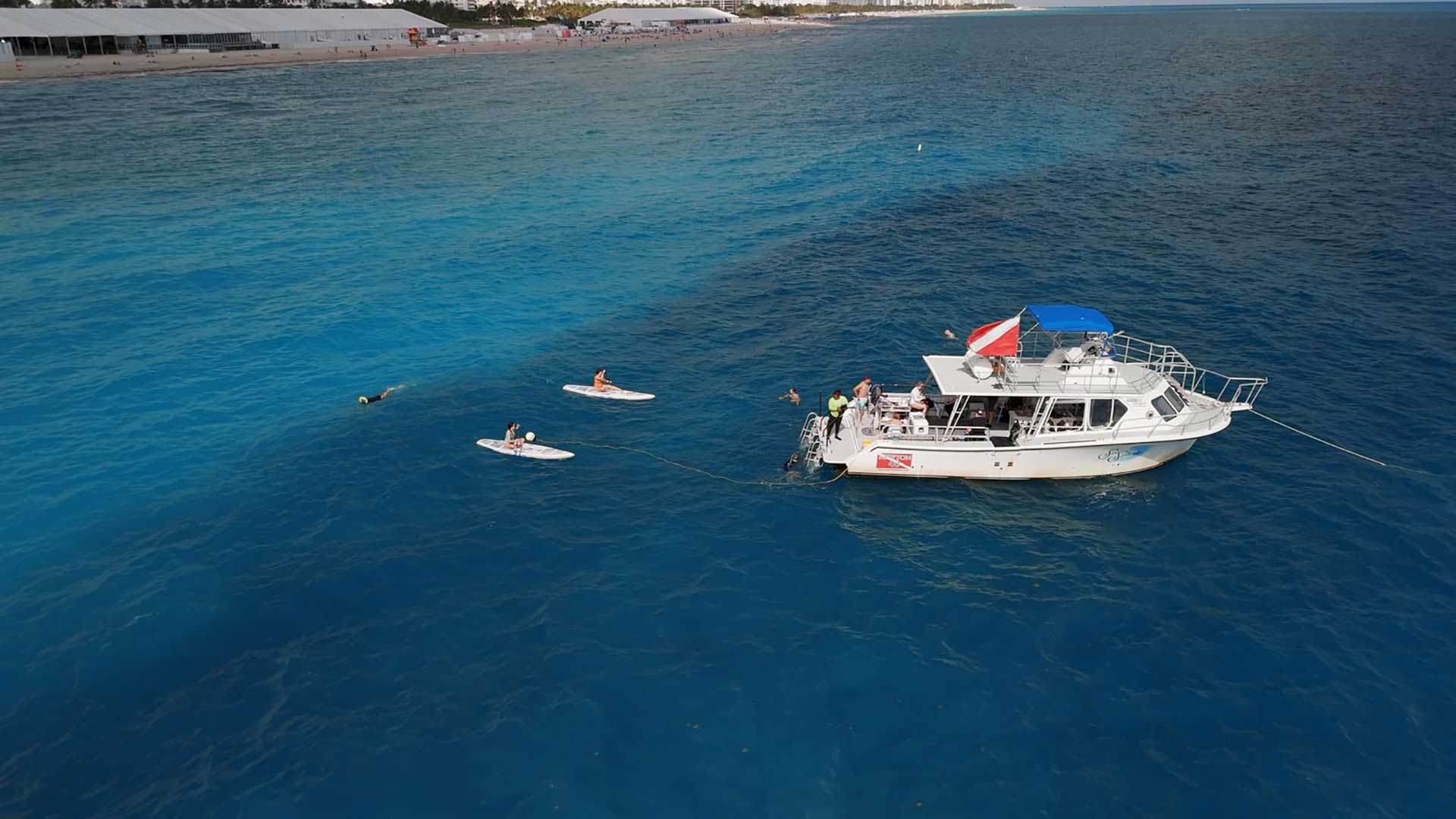 Diver's Paradise Dive Center — Miami — Key Biscayne, Florida — REEFLINE