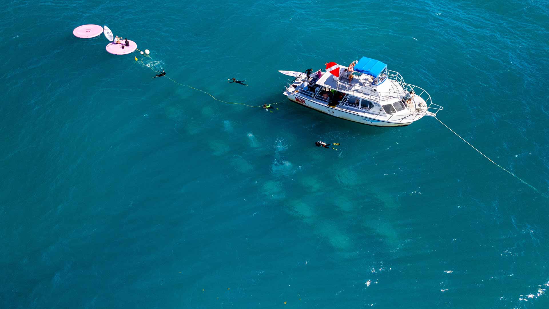 Diver's Paradise Dive Center — Miami — Key Biscayne, Florida — REEFLINE