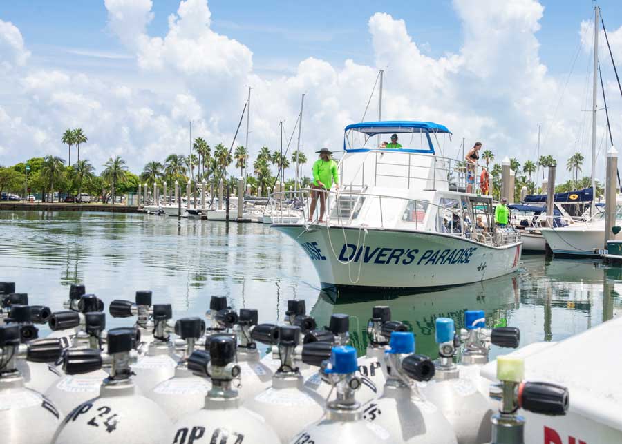Diver's Paradise Dive Center — Miami — Key Biscayne, Florida