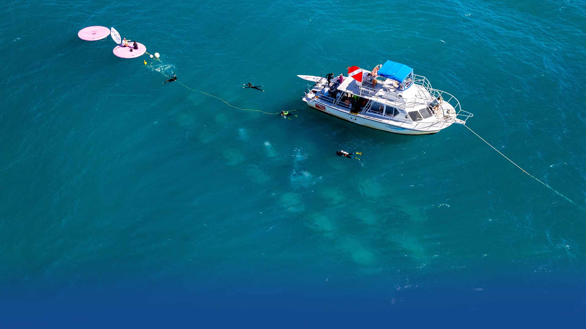 Diver's Paradise Dive Center — Miami — Key Biscayne, Florida — PADI Adaptive Service Facility