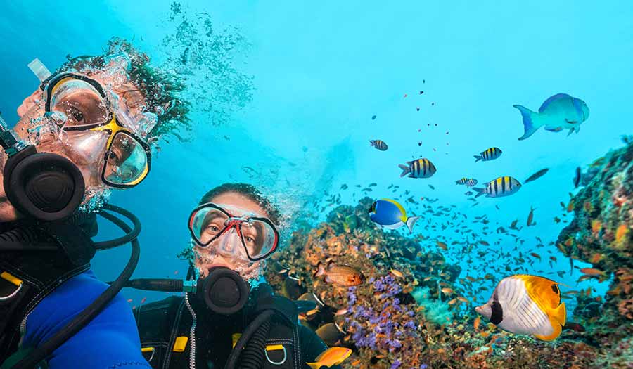 Diver's Paradise Dive Center — Miami — Key Biscayne, Florida — PADI Adaptive Service Facility