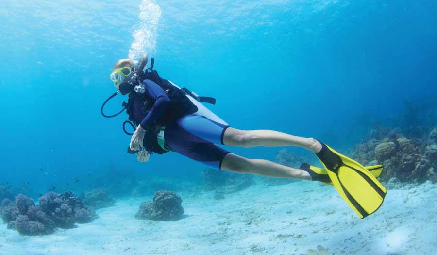 Diver's Paradise Dive Center — Miami — Key Biscayne, Florida — PADI Adaptive Service Facility