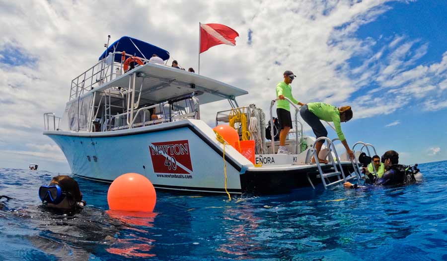 Diver's Paradise Dive Center — Miami — Key Biscayne, Florida — PADI Adaptive Service Facility
