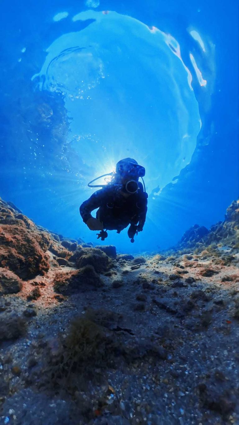 Diver's Paradise Dive Center — Miami — Key Biscayne, Florida — PADI Adaptive Service Facility
