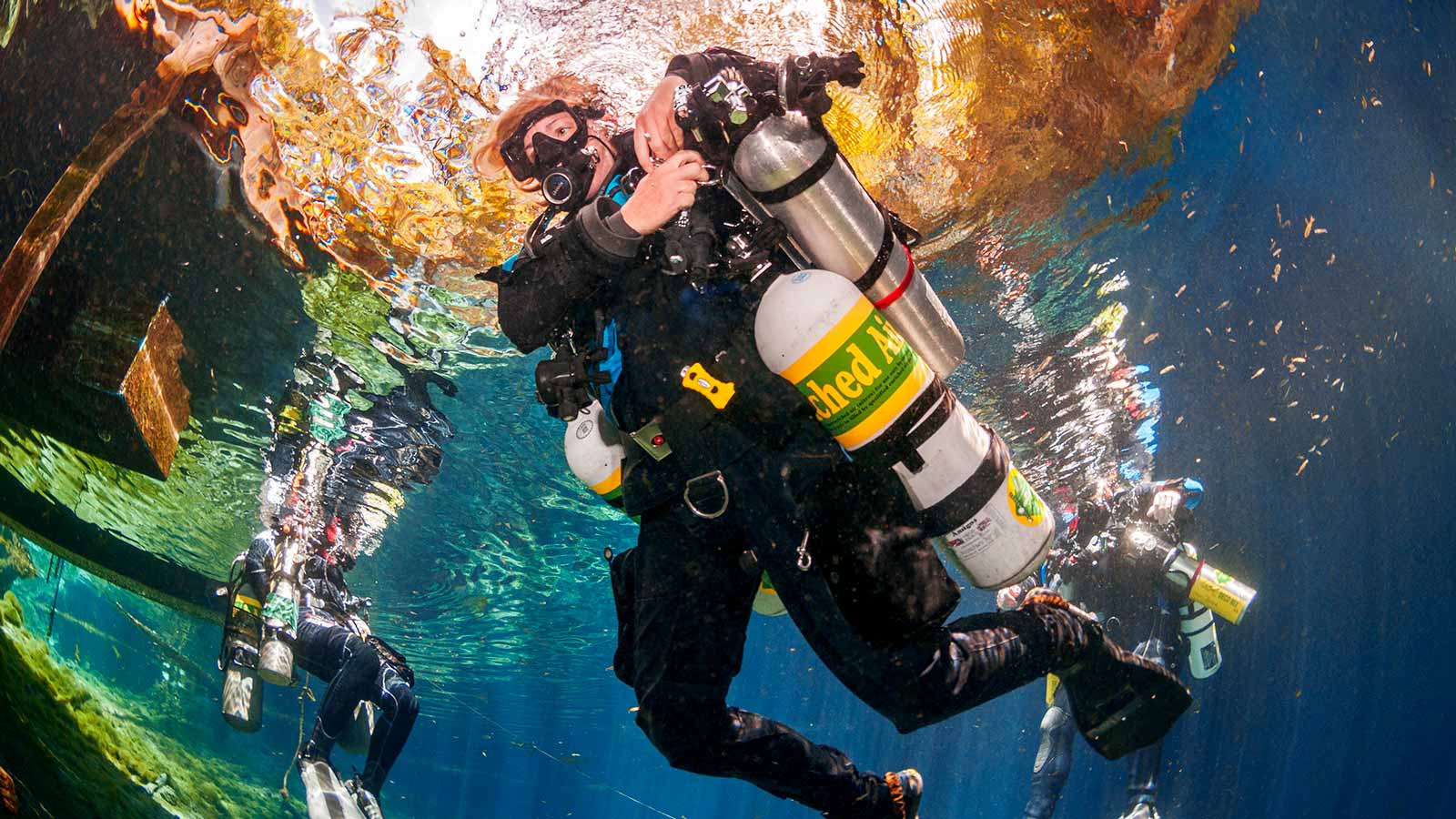 Diver's Paradise Dive Center — Miami — Key Biscayne, Florida — PADI Adaptive Service Facility